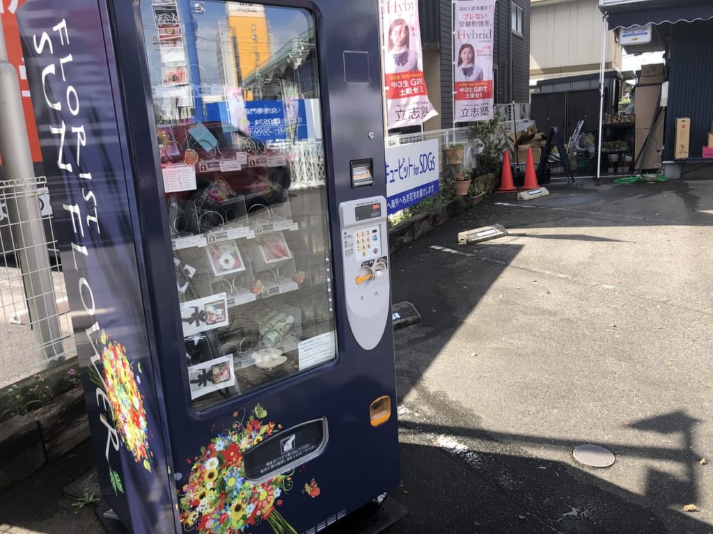 サンフラワー