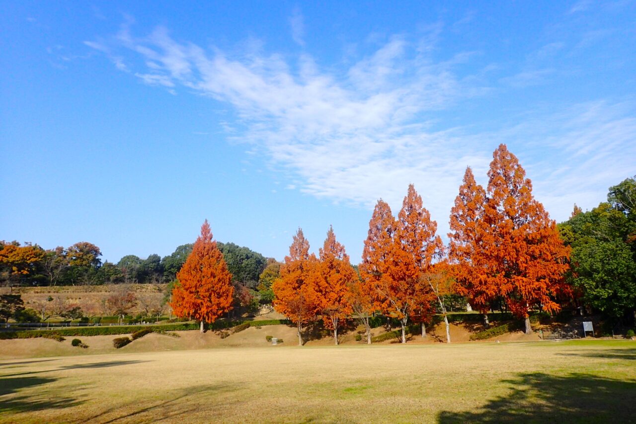 紅葉