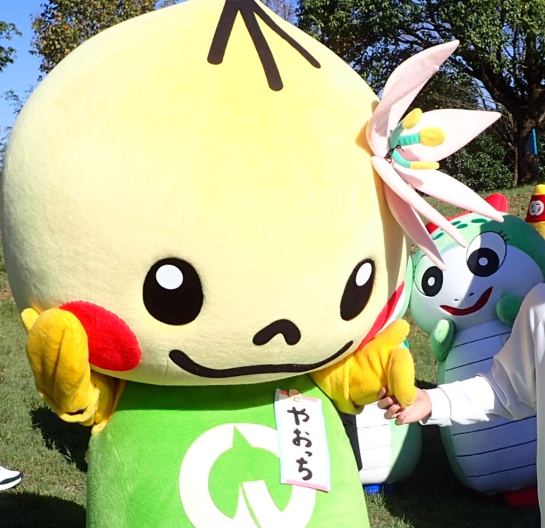 やおっち