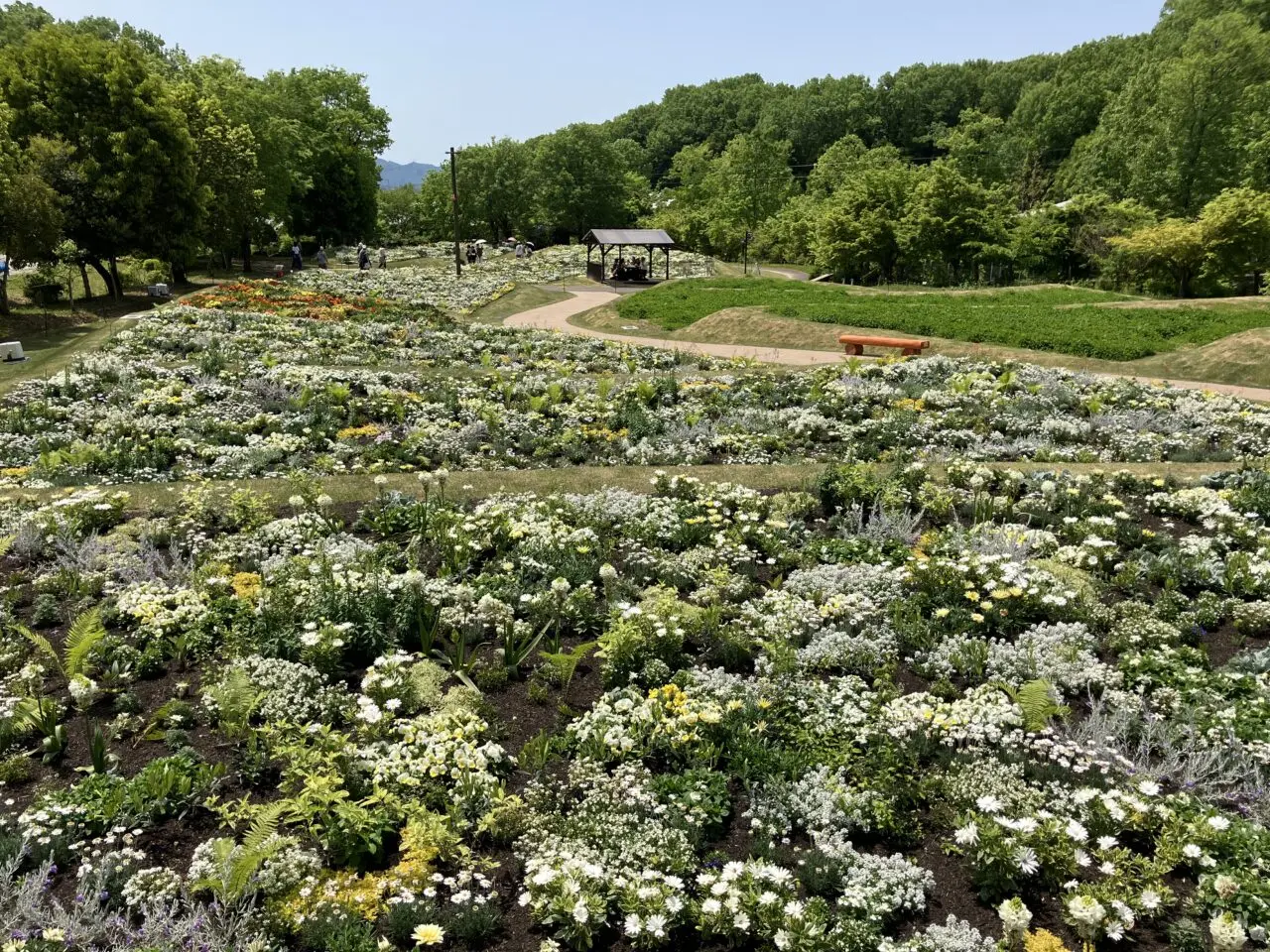 ぎふ清流里山公園