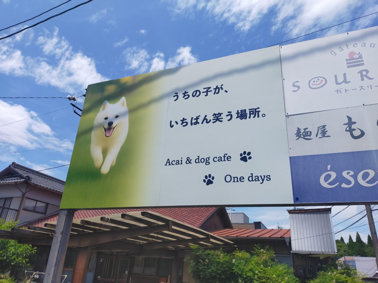 ONE DAYS
