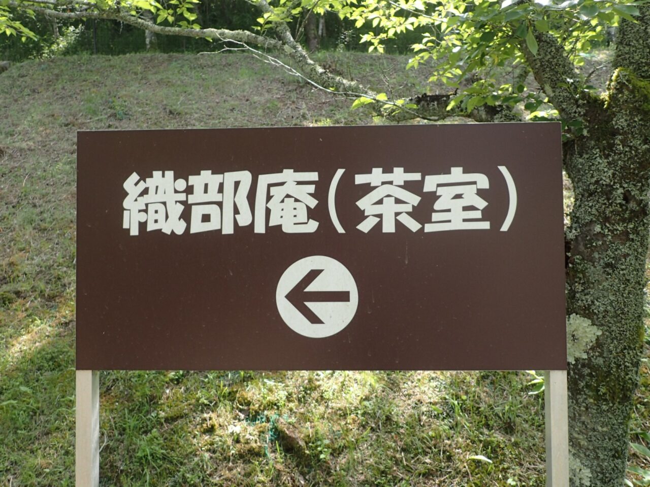 光秀ウォーキング