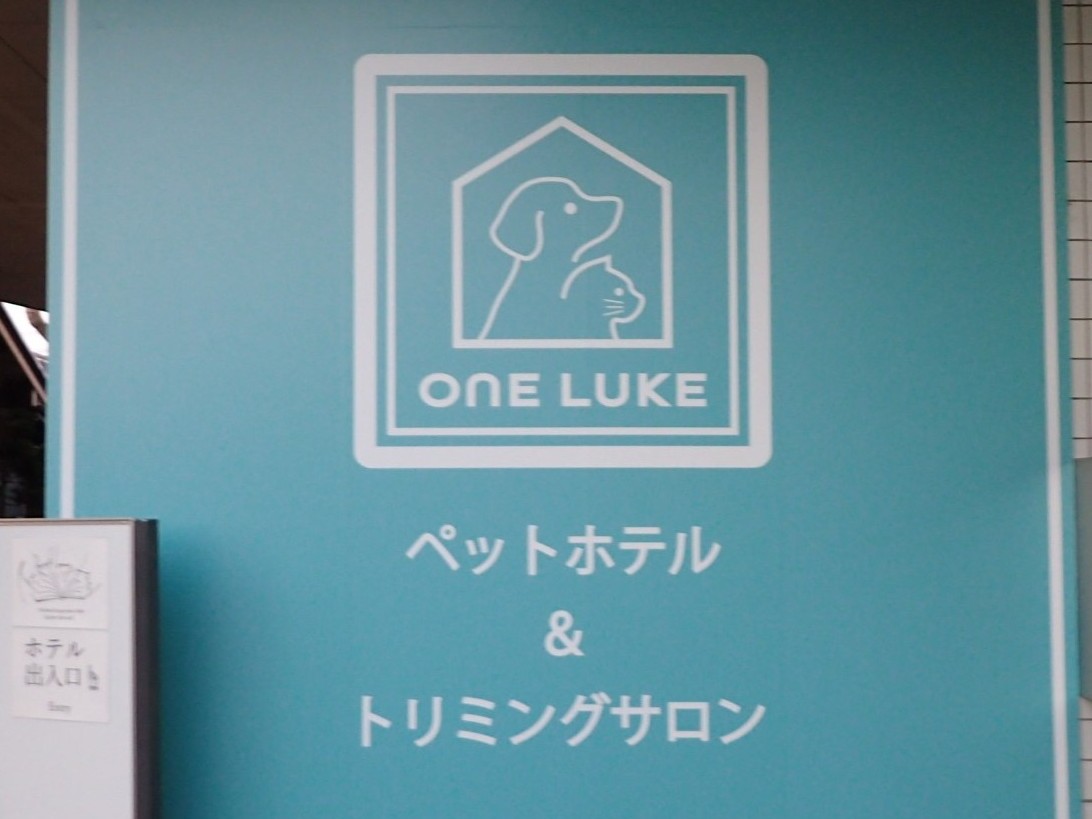 ONE LUKE可児店