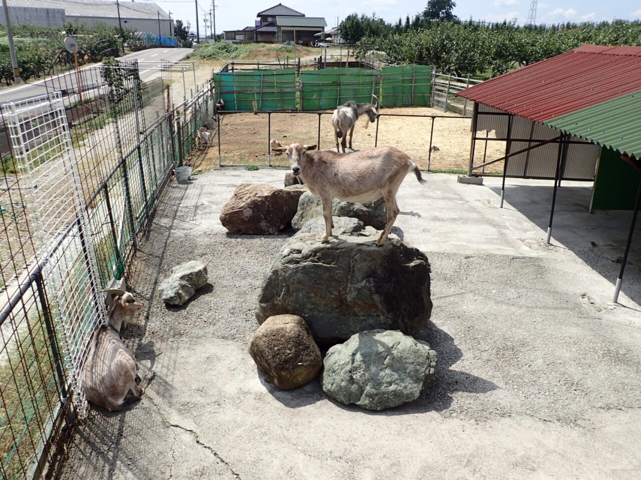 丸坂山田農園