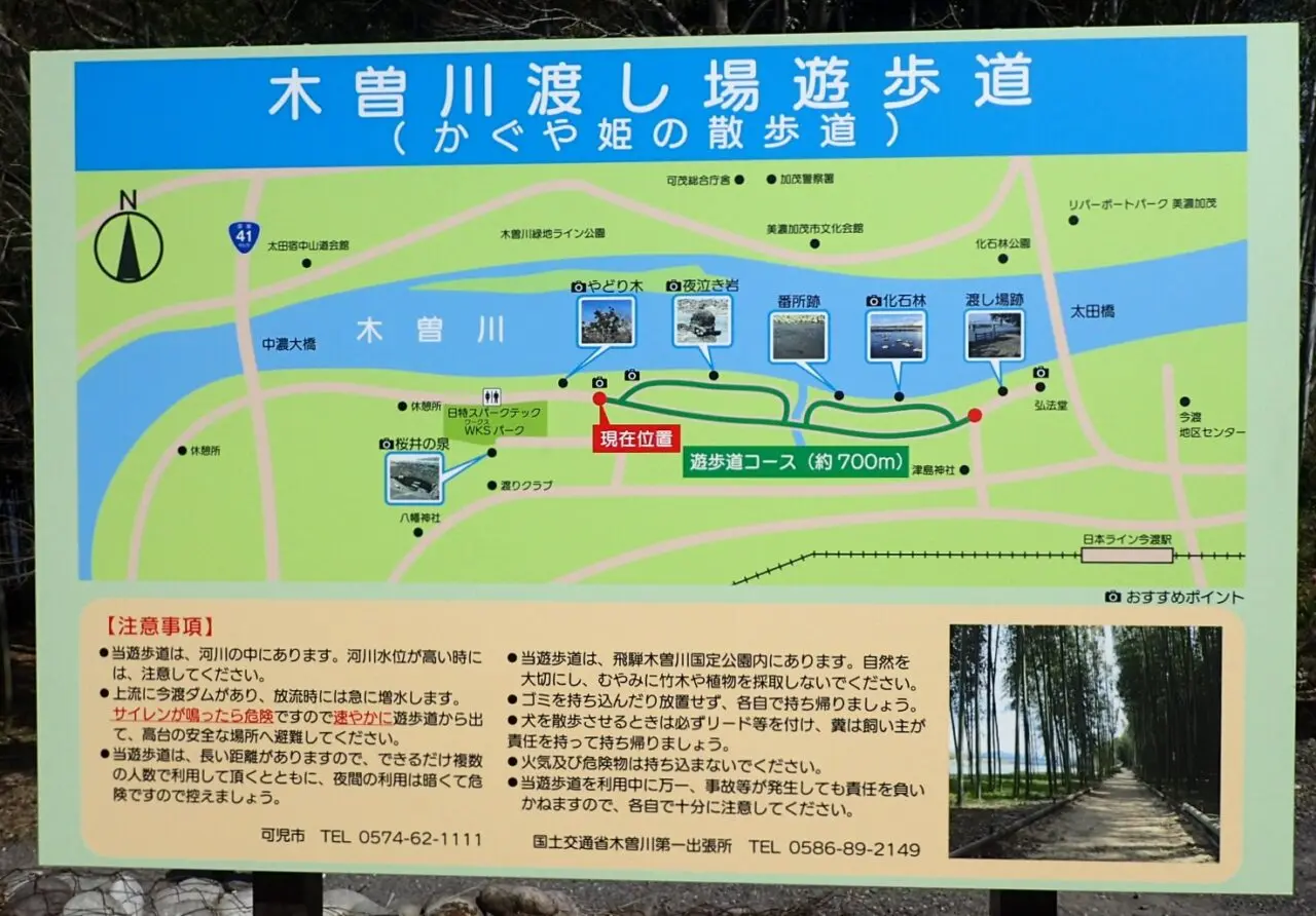 かぐや姫の散歩道