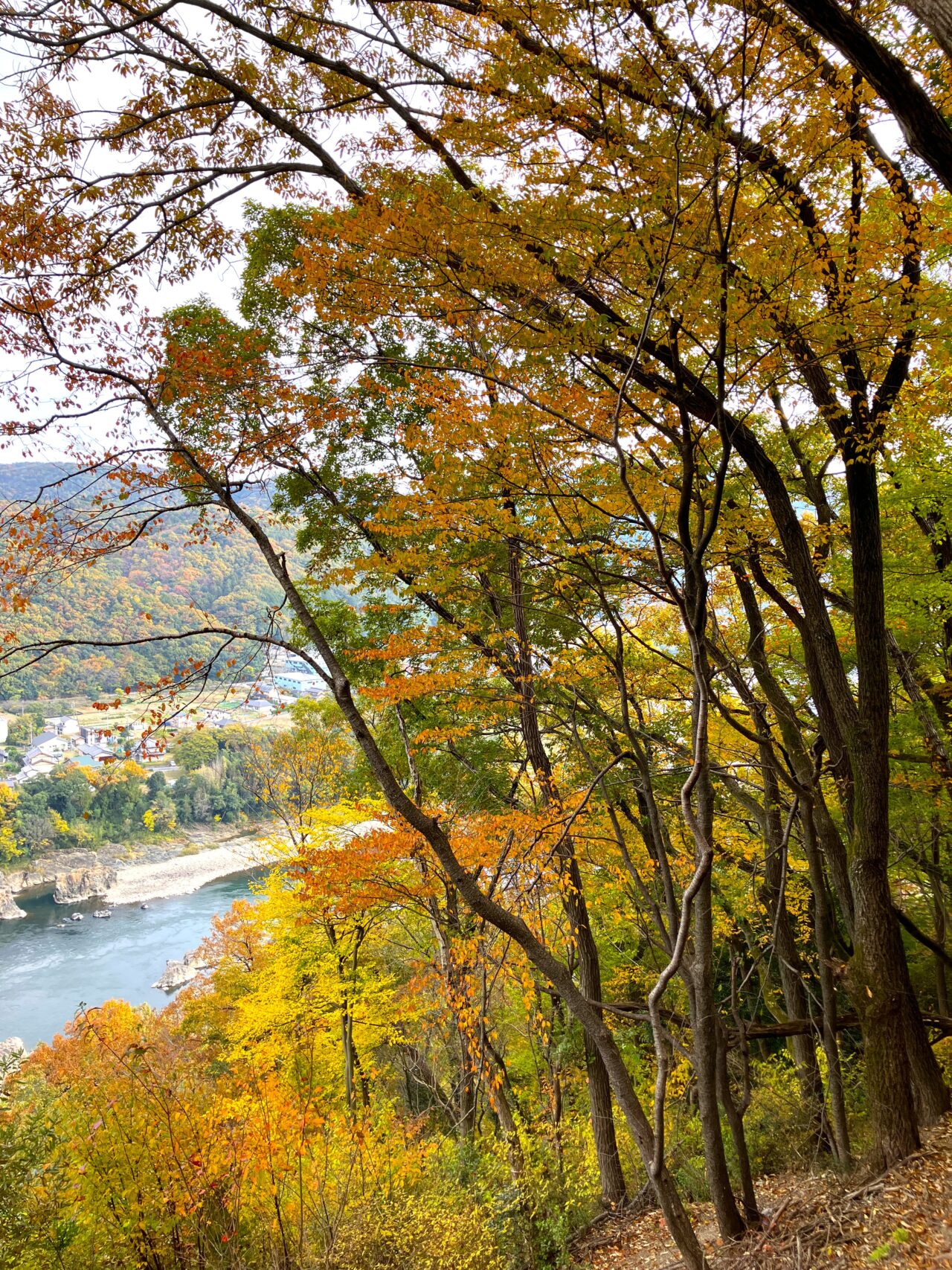 二つ岩展望テラス
