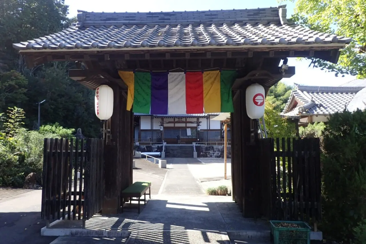 テラセタ・エンニチ