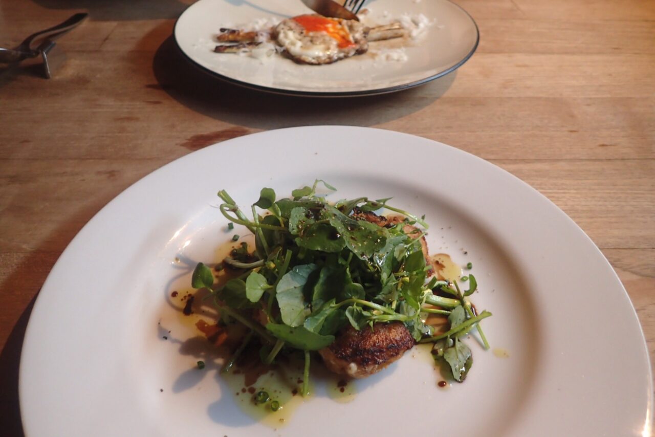 ドチリタカサリンガ